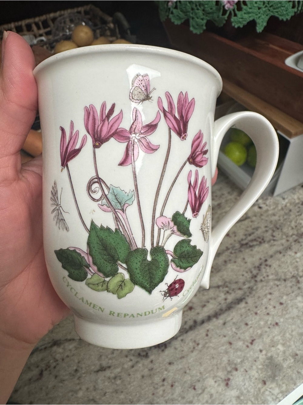 Portmeirion Botanical Garden Mug with Green Emblem